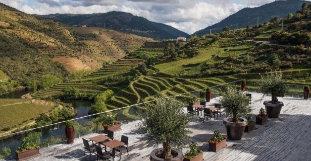 Hotel Vila Gale Douro Vineyards