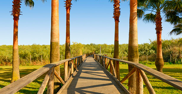 Hotel Vila Gale Isla Canela