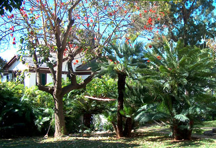 Hotel Vila Vicencia