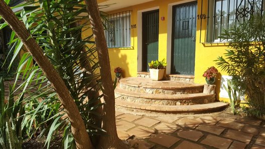 Hotel Villa Albero