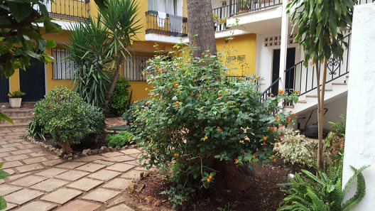Hotel Villa Albero
