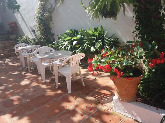 Hotel Villa Albero