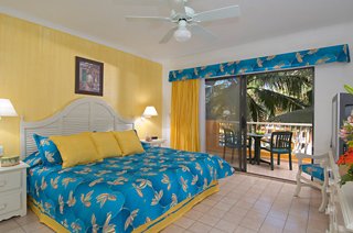 Hotel Villa Del Palmar Beach Resort & Spa