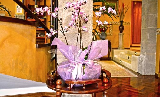 Hotel Villa Erina Park