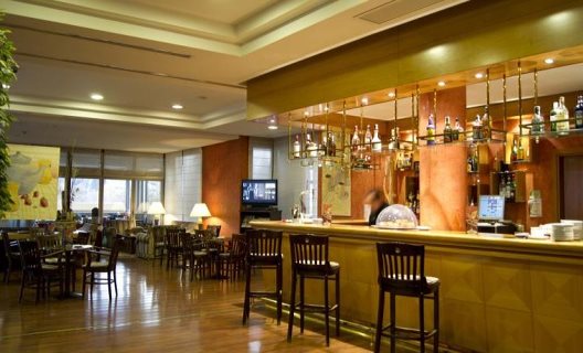 Hotel Villamadrid