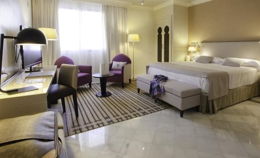 Hotel Vincci Albayzin