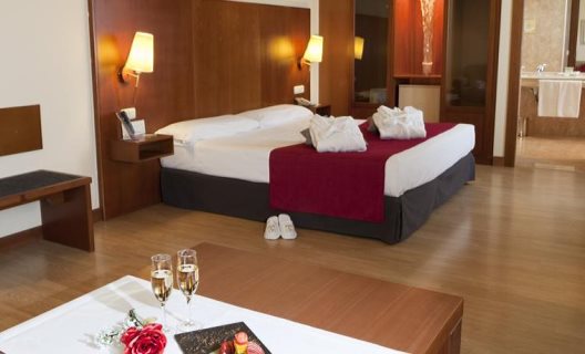 Hotel Vincci Ciudad De Salamanca