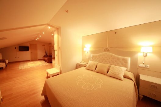 Hotel Virrey II