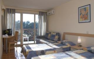 Hotel Vita Park