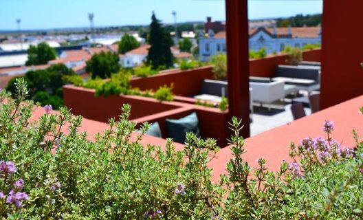 Hotel Vitoria Stone