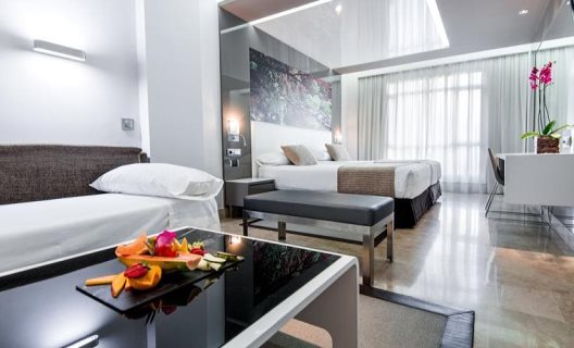 Hotel Vp El Madroño