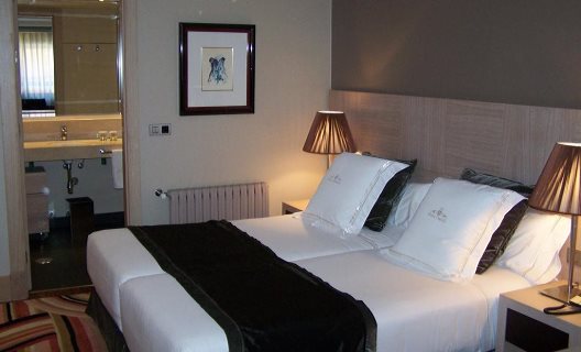 Hotel Washington Parquesol Suites