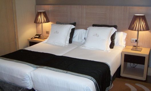 Hotel Washington Parquesol Suites