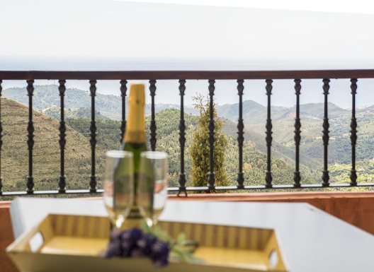 Hotel Wellness Marbella Hills