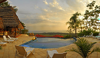 Hotel Whales And Dolphins