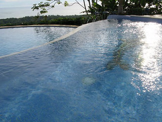 Hotel Whales And Dolphins