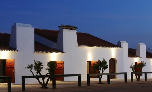 Hotel Wine Torre De Palma