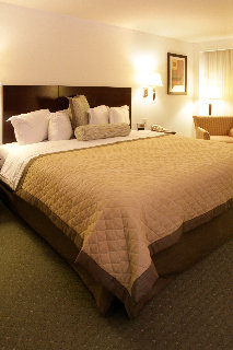 Hotel Wyndham Casa Grande Monterrey