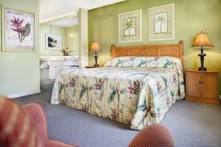 Hotel Wyndham Cypress Palms-extra Holidays, Llc