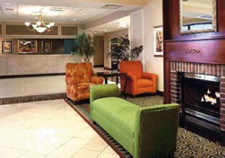 Hotel Wyndham Garden Atlanta Downtown