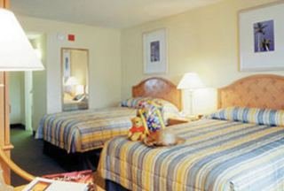 Hotel Wyndham Orlando Resort