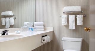 Hotel Wyndham Raleigh Durham