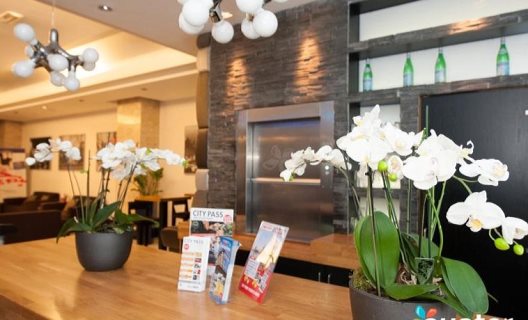 Hotel Xo Blue Tower