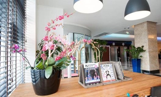 Hotel Xo Blue Tower
