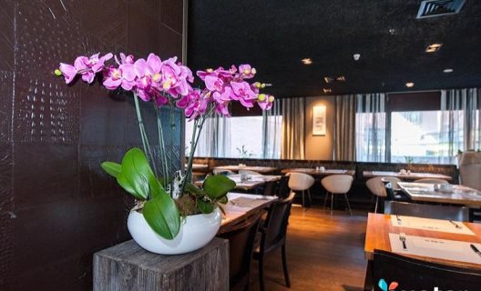 Hotel Xo Blue Tower