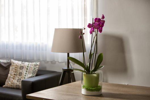 Hotel Yit Ciudad De Elche