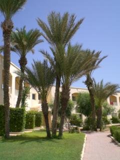 Hotel Zephir And Spa