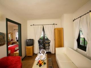Hotel Zeytinada
