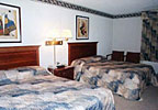 Hotel Regency Inn & Suites