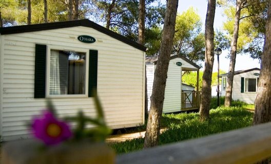 Las Palmeras Camping