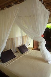 Lodge El Remanso Rainforest & Wildlife Lodge