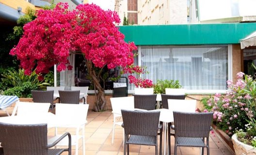 Mar Hotels Paguera Spa