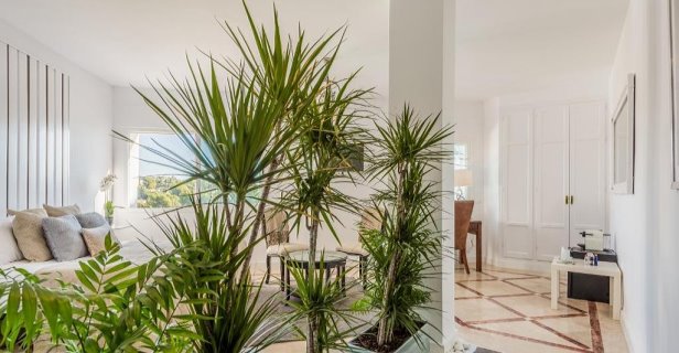 Molo 44 Suites Puerto Banus
