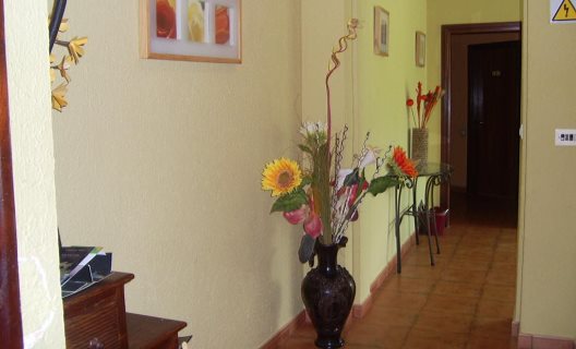 Pensión Cangas De Onis