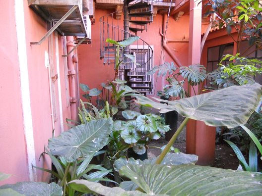 Pension Setubalense