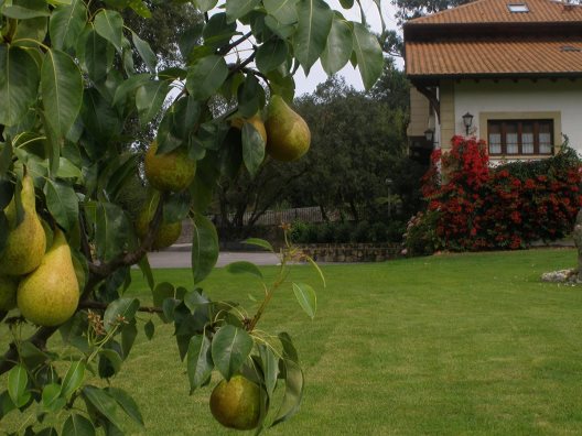 Posada La Robleda