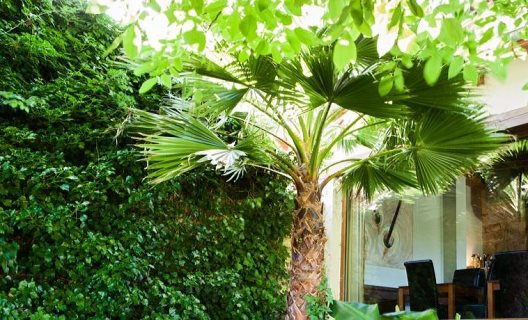 Posada Sotobosque