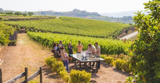 Quinta Da Barroca