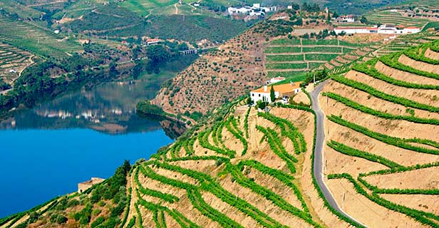 Quinta Da Veiga