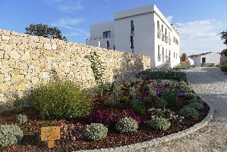 Quinta Das Lavandas
