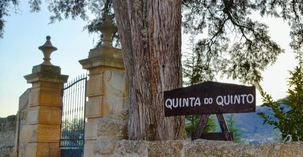 Quinta Do Quinto