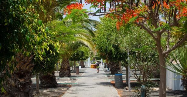 Relaxia Lanzasur Club Aqualava Water Park