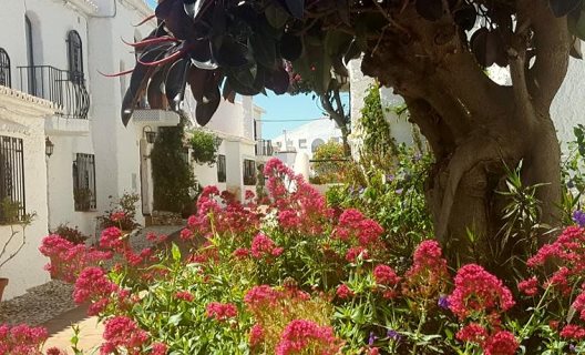 Resort Capistrano El Sur