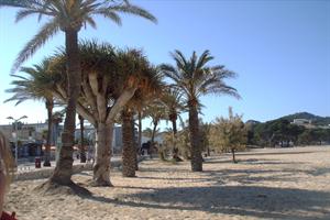 Ruleta Hoteles 4* Delfín Santa Ponsa