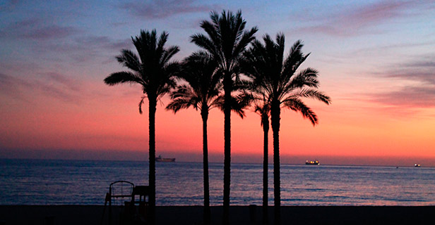 Ruleta Hoteles 4* Retamar Cabo De Gata
