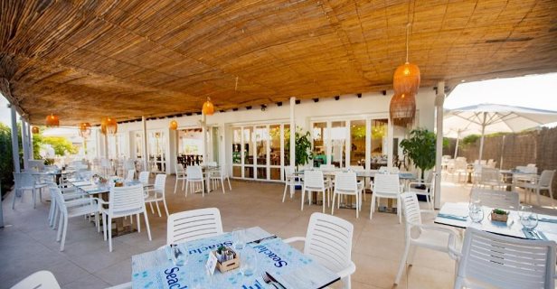 Seaclub Alcudia Mediterranean Resort